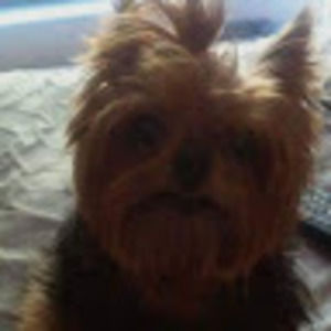 Meet your Posher, Linda